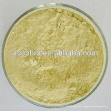 Bromelain d&#39;enzymes (2400GDU / g) CAS No.9001-00-7, poudre de Bromelain